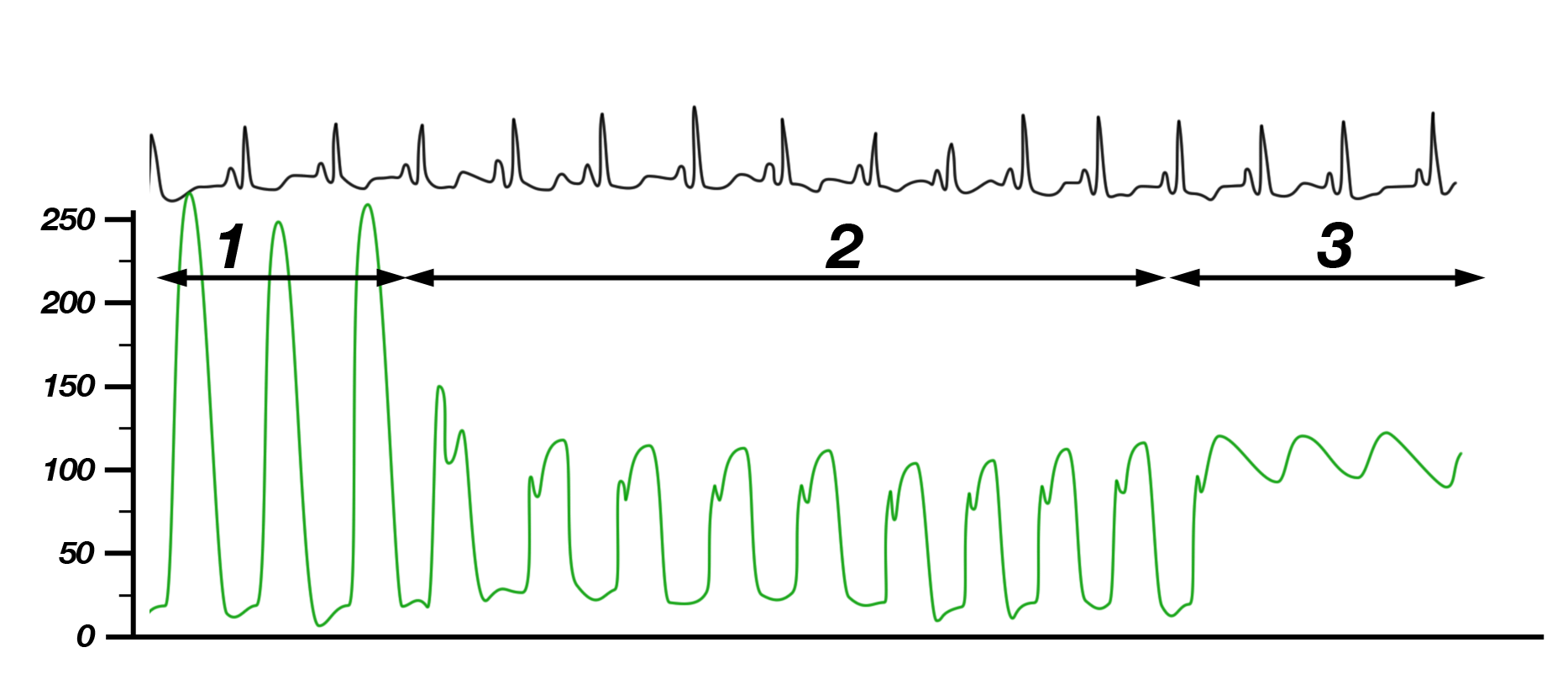 Elektrik